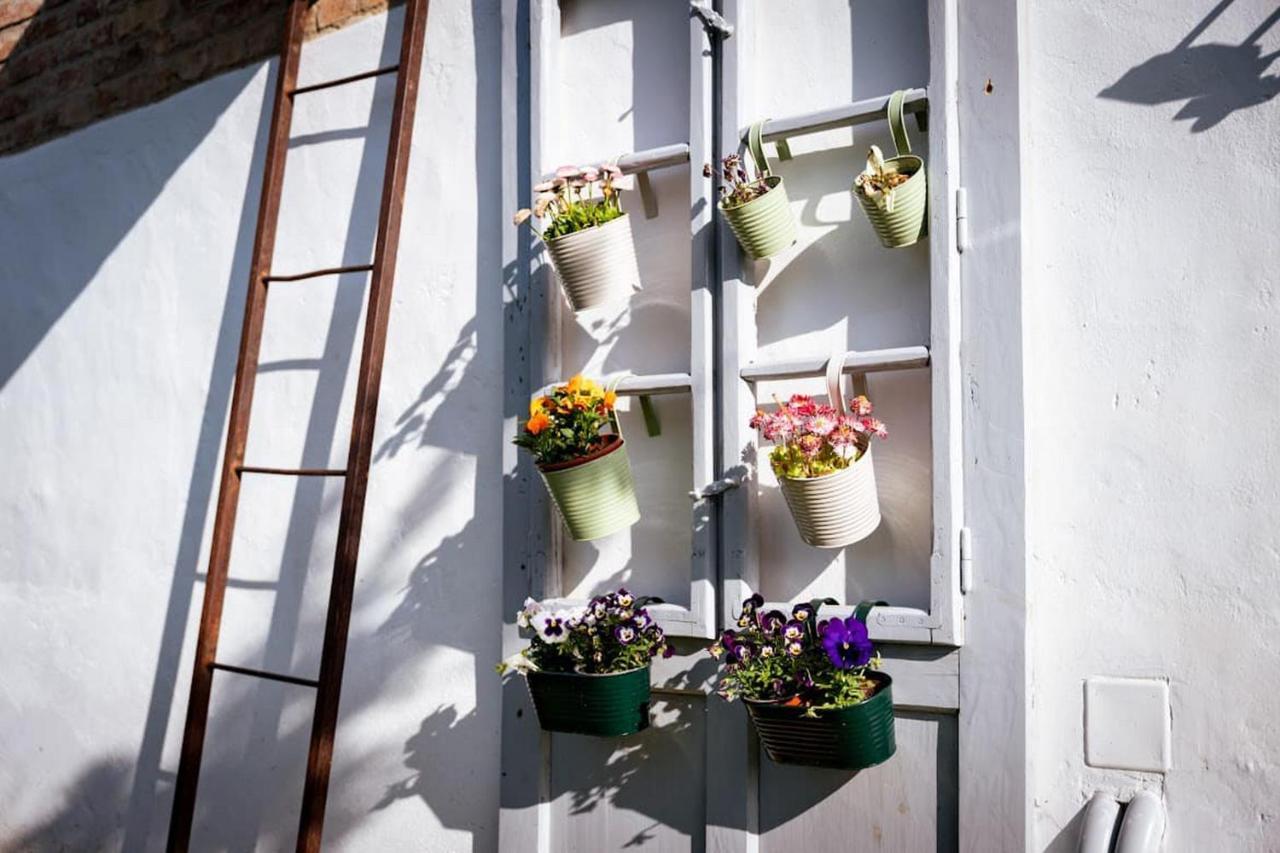 Rozmaring Vendeghaz Hotel Zengővárkony Exterior foto